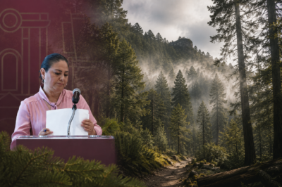 Hidalgo destina otros 10 mdp para seguir salvando el Parque Nacional El Chico
