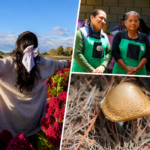 Collage con un campo de flores, una experiencia de turismo comunitario en Hidalgo y un hongo silvestre, imágenes que representan la diversidad natural, cultural y gastronómica que distingue al estado y fortalece su oferta turística.