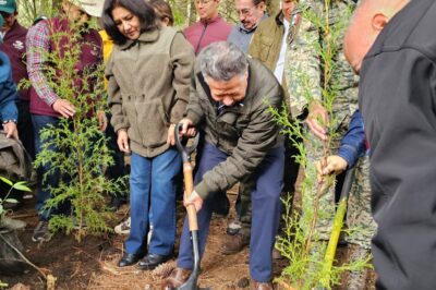 Hidalgo distribuirá dos millones de plantas para reforestar sus 84 municipios