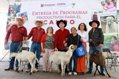 Hidalgo destina 473 mil pesos para fortalecer la producción ovina en tres municipios
