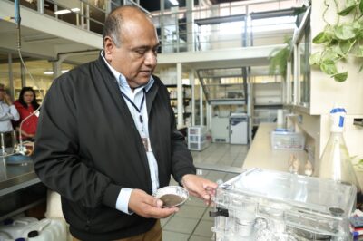 UPP transforma lirio acuático en materia prima para la industria